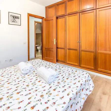 Rooftop * פאלם-מאר